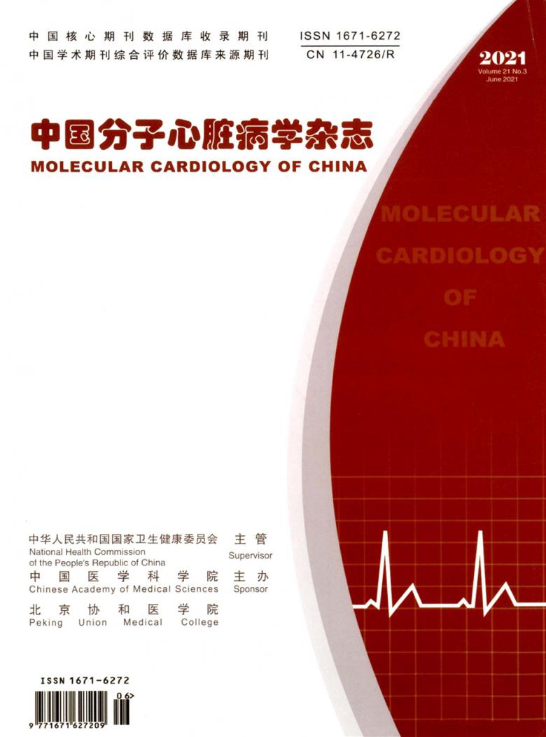 中国分子心脏病学论文
