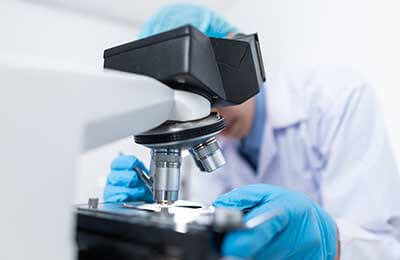 本科生科研训练