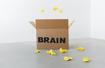 劳动教育的感想