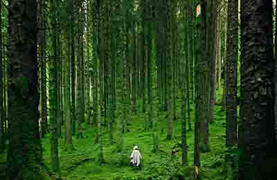 减少自然灾害损失的方法