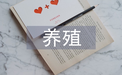 肉牛养殖管理技术