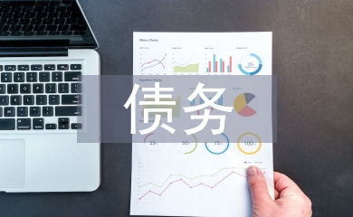 债务审计论文