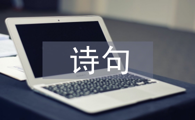 端午的诗句或词句