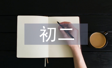 初二政治论文