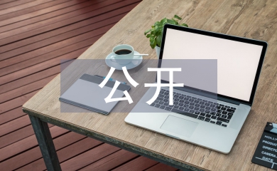 党员个人公开承诺书