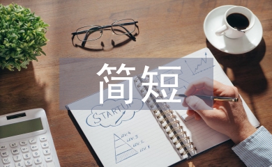 简短个人工作总结