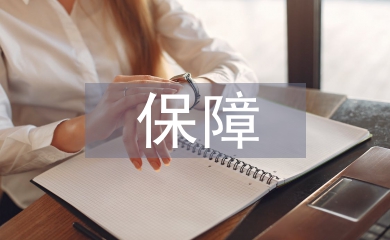 保障技术论文