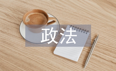 上半年政法工作总结