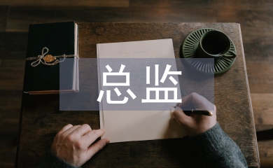 人力资源总监工作总结