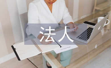 法人年度报告书