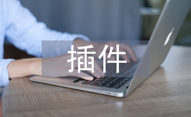 计算机软件技术中插件技术与分层技术的运用