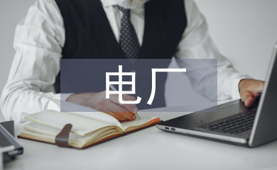 电厂防汛工作总结