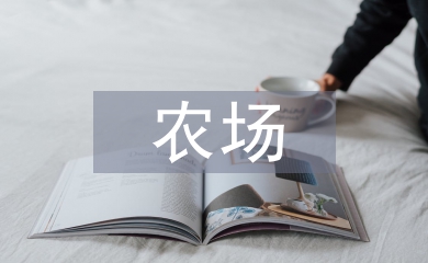 农场半年工作总结