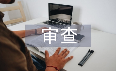 审查技巧论文