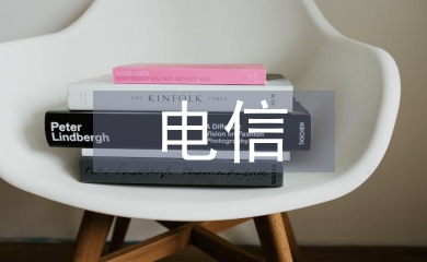 电信发展党员工作总结