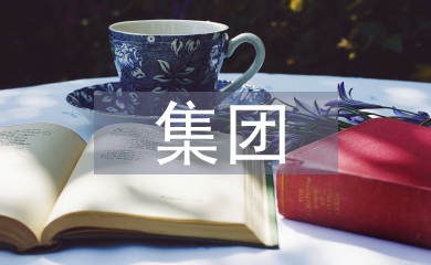 集团公司财务管理模式优化探析