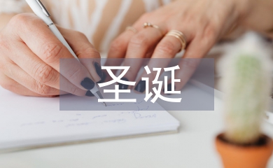 圣诞促销策划方案