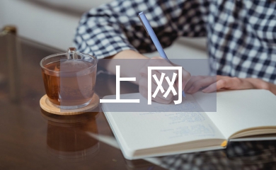 上网情况调查报告