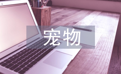 宠物医生毕业论文