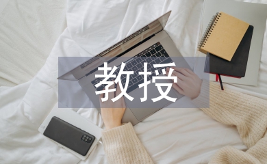 教授评职称论文