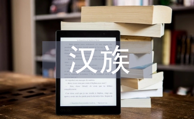 汉族人与北魏的汉化分析