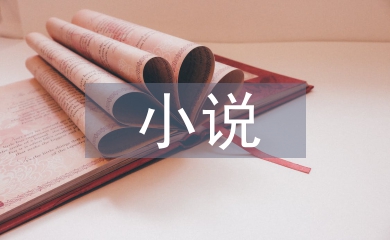 小说读后感