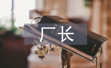 选煤厂厂长述职报告