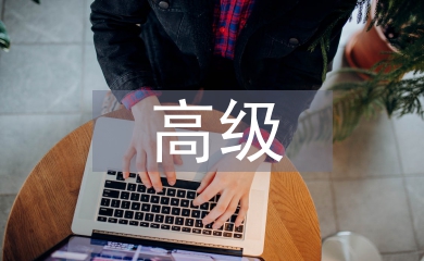 高级会计学论文