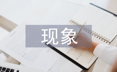 经济学下中国盗版现象研究