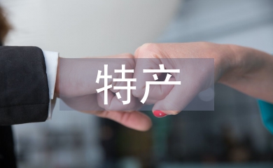 电子商务特产销售系统技术分析