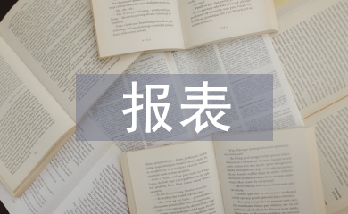 财务分析报表论文