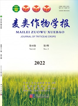 麦类作物学报