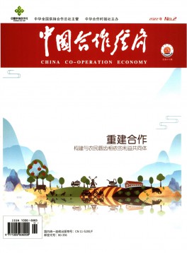 中国合作经济杂志