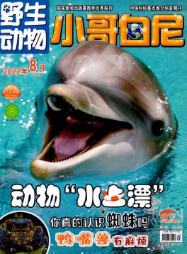 小哥白尼·野生动物画报