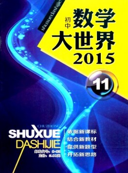 数学大世界·初中版
